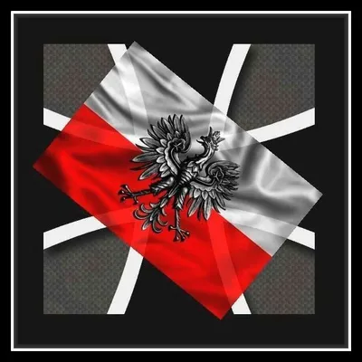 Profile picture for user wagram