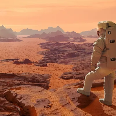 Profile picture for user marsie