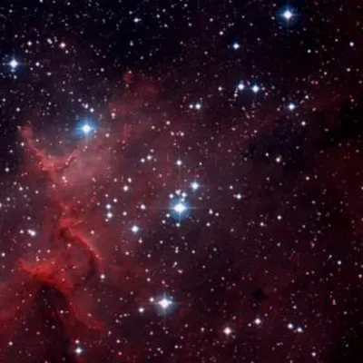 Profile picture for user Astra