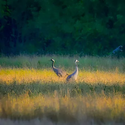 Profile picture for user Teofila77