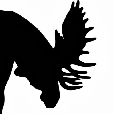 Profile picture for user chinook blog