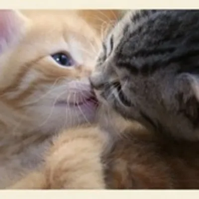 Profile picture for user wizjoner