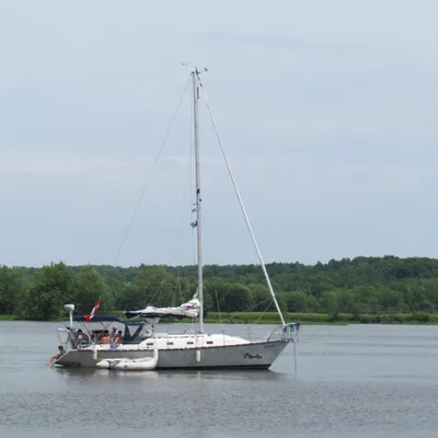 Profile picture for user donnaG