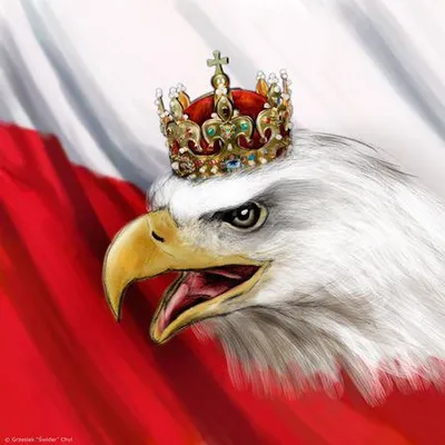 Profile picture for user roblodz