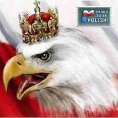 Profile picture for user jowita381