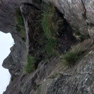 Profile picture for user Captain Nemo