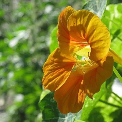 Profile picture for user Ewa50