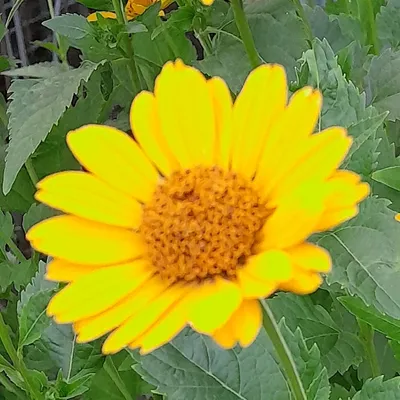 Profile picture for user angela