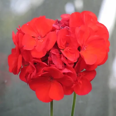 Profile picture for user ExWroclawianin