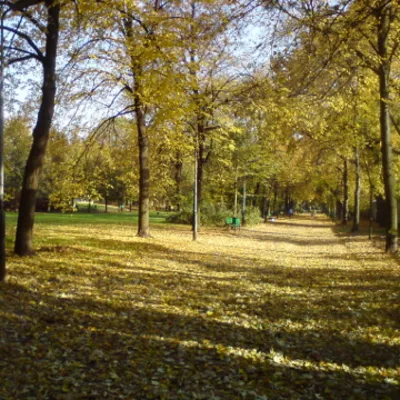 Profile picture for user Henryk Dąbrowski