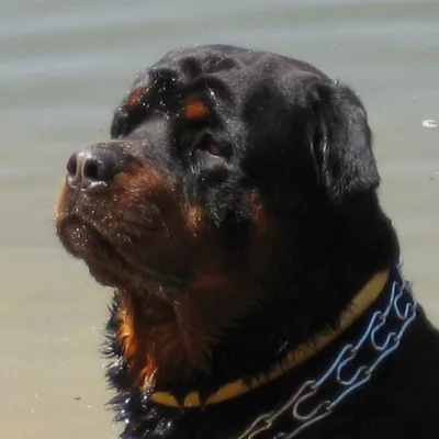 Profile picture for user jaskier2009