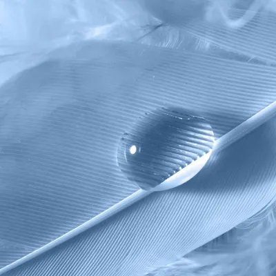 Profile picture for user ellenai