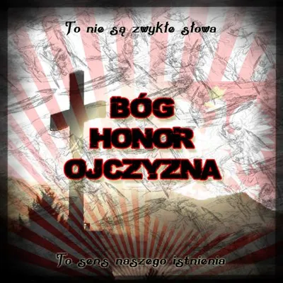 Profile picture for user kokos26