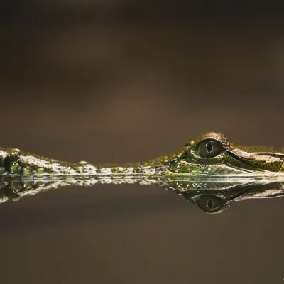 Profile picture for user eljot_ja