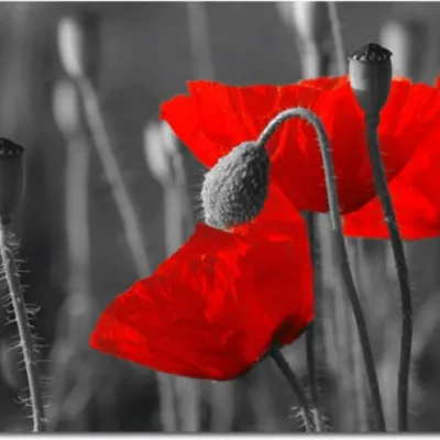 Profile picture for user ASTRAJA