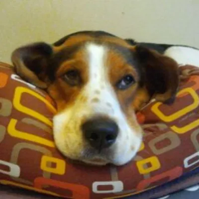 Profile picture for user lechr