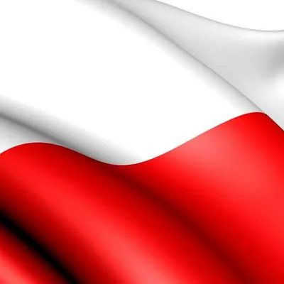 Profile picture for user elika