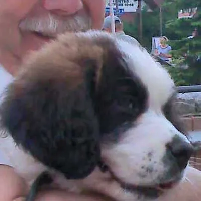 Profile picture for user jdj