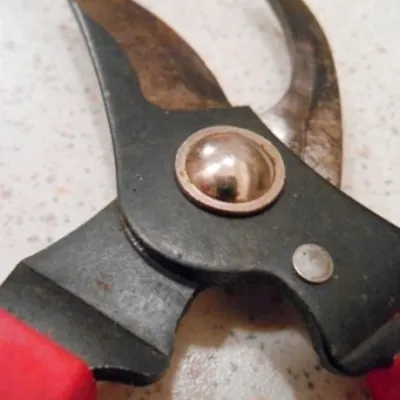 Profile picture for user Sekator