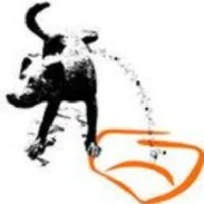 Profile picture for user klasyk