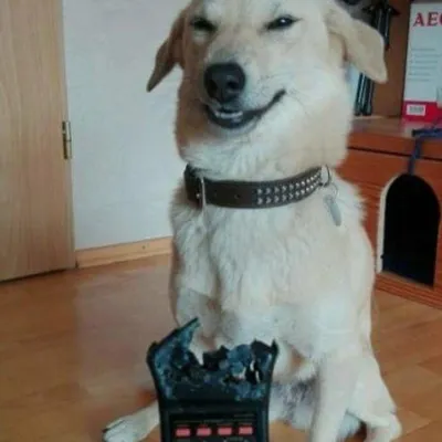 Profile picture for user Ijontichy