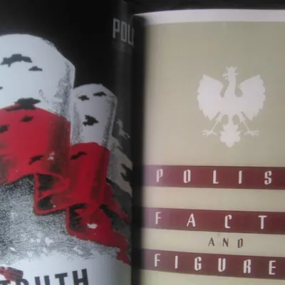 Profile picture for user Polish Facts and Figures vel Kacpro