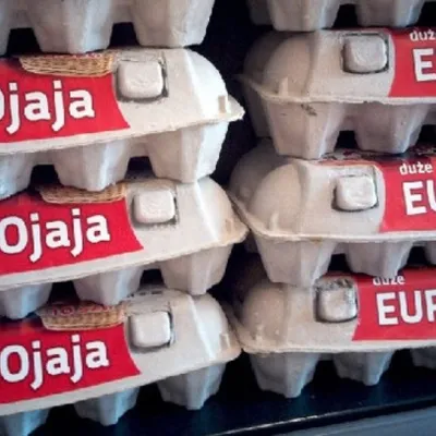 Profile picture for user kura domowa