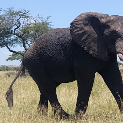 Profile picture for user LeszPTJ